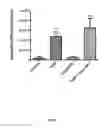 Fig. 03 - Methods for immunomodulation of cancer and infectious disease therapy