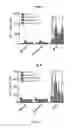 Fig. 06 - Methods for immunomodulation of cancer and infectious disease therapy