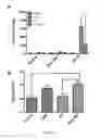 Fig. 16 - Methods for immunomodulation of cancer and infectious disease therapy