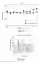 Fig. 04 - Compositions comprising magnolia, phellodendron, theanine and/or whey protein