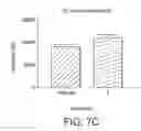 Fig. 07 - Compositions comprising magnolia, phellodendron, theanine and/or whey protein