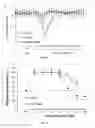 Fig. 16 - Compositions and methods for stimulating ventilatory and/or respiratory drive