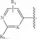 Fig. 05 - Cyclic ureas as inhibitors of rock