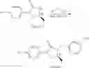 Fig. 263 - Cyclic ureas as inhibitors of rock