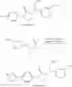 Fig. 306 - Cyclic ureas as inhibitors of rock