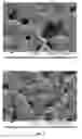 Fig. 03 - Medicinal composition for treating urinary tract infection (UTI)