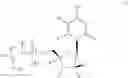 Fig. 08 - Nucleoside phosphoramidate prodrugs