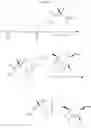 Fig. 20 - Nucleoside phosphoramidate prodrugs