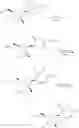 Fig. 24 - Nucleoside phosphoramidate prodrugs