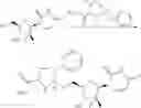 Fig. 26 - Nucleoside phosphoramidate prodrugs