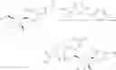 Fig. 31 - Nucleoside phosphoramidate prodrugs