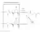 Fig. 01 - Dimeric collagen hybridizing peptides and methods of using