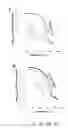 Fig. 08 - Dimeric collagen hybridizing peptides and methods of using