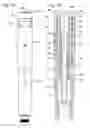 Fig. 14 - Injection device