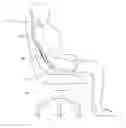 Fig. 01 - Exercise device and upright posture retainer for upper body