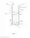 Fig. 02 - Exercise device and upright posture retainer for upper body