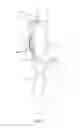 Fig. 07 - Exercise device and upright posture retainer for upper body