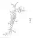 Fig. 02 - Multi-functional composition of matter for rapid removal of mercury from a flue gas