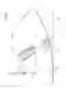 Fig. 09 - Methods for the production of curved pieces from continuous metal elements