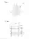 Fig. 06 - THREE-DIMENSIONAL PRINTING APPARATUS AND OBJECT-FORMATION-DATA PRODUCING APPARATUS