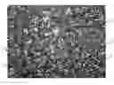 Fig. 01 - Component with Surface Structure Generated by Embossing and Method for the Production Thereof