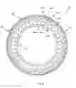 Fig. 07 - Tire with arched spokes