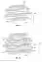Fig. 07 - Protective Barrier for Tires and Application Thereof