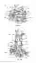Fig. 02 - Self-leveling mechanism and method for wheeled mobility device