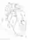 Fig. 02 - Vehicle rear structure