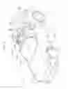 Fig. 03 - Vehicle rear structure