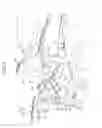 Fig. 04 - Vehicle rear structure