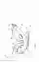 Fig. 08 - Child safety seat