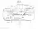 Fig. 02 - Wire harness with trunk line distributor