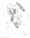 Fig. 02 - Water Helicopter