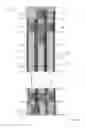 Fig. 02 - SIX-PHASE MOTOR FOR ELEVATOR SYSTEM