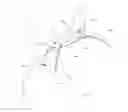 Fig. 04 - Equestrian headpiece