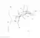 Fig. 05 - Equestrian headpiece