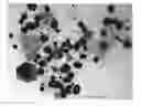 Fig. 01 - METHOD FOR PRODUCING GOLD NANOPARTICLES IN PLANTS AND GOLD NANOPARTICLES PRODUCED
