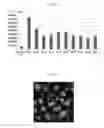 Fig. 09 - Cell culturing method and kit