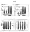 Fig. 02 - Compound for identifying pluripotent cells