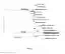 Fig. 02 - Human ebola virus species and compositions and methods thereof