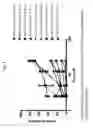 Fig. 07 - EXON SKIPPING COMPOSITIONS FOR TREATING MUSCULAR DYSTROPHY