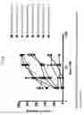 Fig. 08 - EXON SKIPPING COMPOSITIONS FOR TREATING MUSCULAR DYSTROPHY