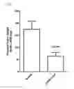 Fig. 02 - METHODS AND COMPOSITIONS FOR TREATING MALIGNANT TUMORS ASSOCIATED WITH KRAS MUTATION