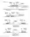 Fig. 15 - Methods and compositions for labeling a single-stranded target nucleic acid