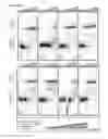 Fig. 33 - Methods and compositions for labeling a single-stranded target nucleic acid