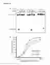 Fig. 40 - Methods and compositions for labeling a single-stranded target nucleic acid