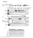Fig. 44 - Methods and compositions for labeling a single-stranded target nucleic acid