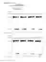 Fig. 48 - Methods and compositions for labeling a single-stranded target nucleic acid