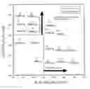 Fig. 01 - Non-oriented electrical steel sheet and method for producing the same